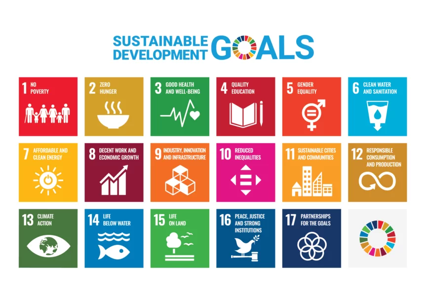SDG Digital Investment Framework