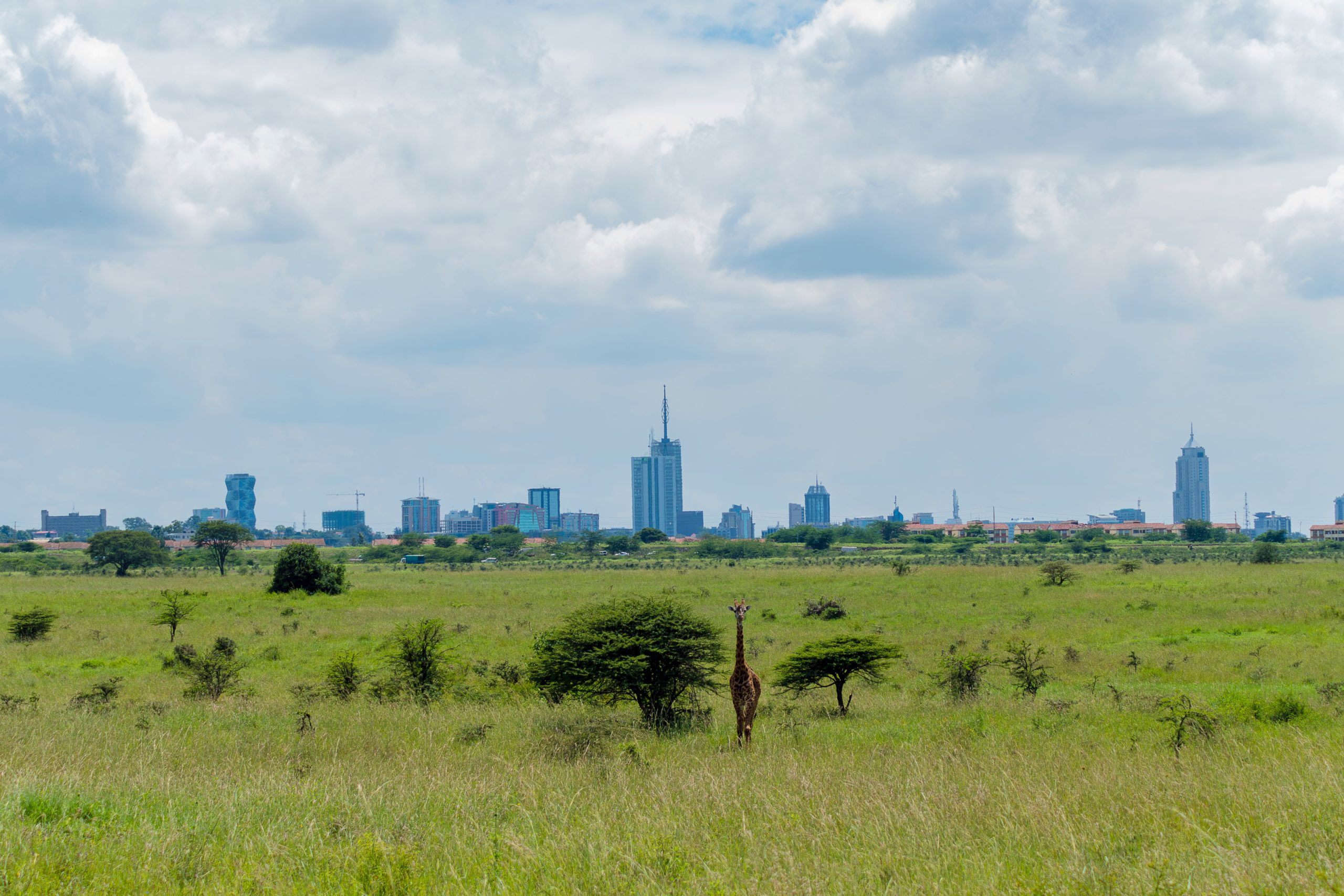 Digital Leaders Spotlight  Kenya